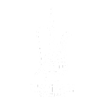 Mateam Alameer Logo